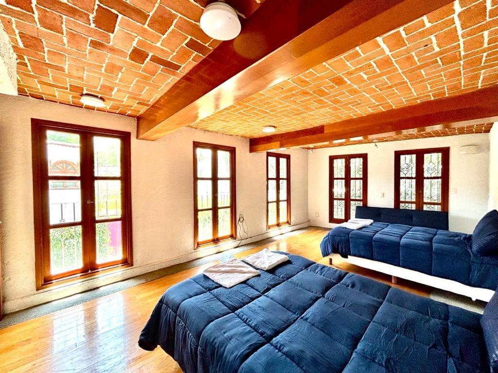 Casa Frida Coyoacan Meksyk Zewnętrze zdjęcie