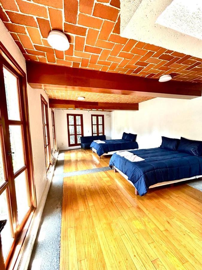Casa Frida Coyoacan Meksyk Zewnętrze zdjęcie