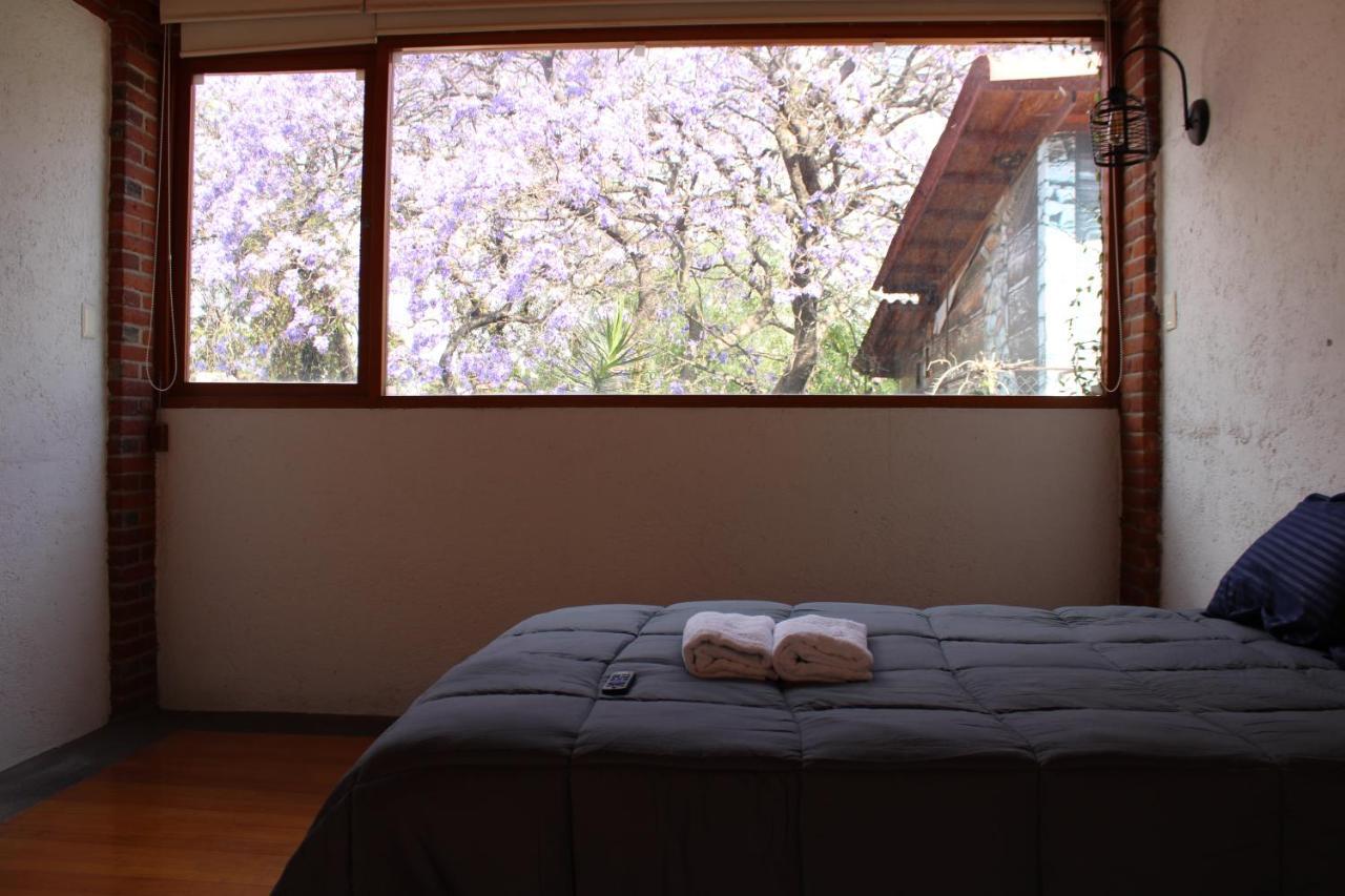 Casa Frida Coyoacan Meksyk Zewnętrze zdjęcie